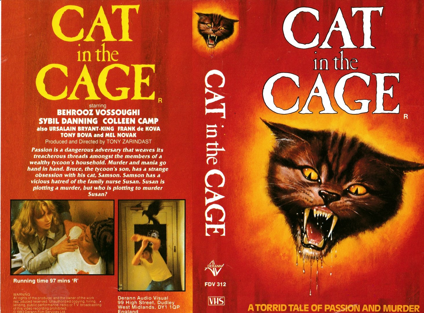 Cat in the Cage