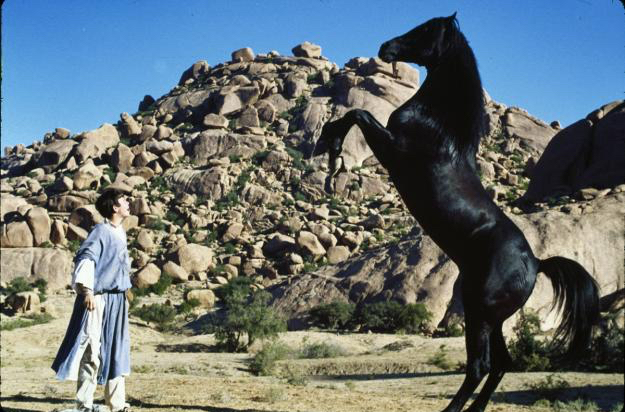The Black Stallion